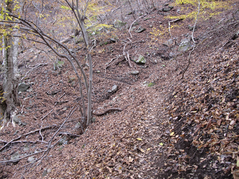 20181126hike (237)